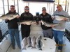 (03/10/2017) - Nice Striped Bass